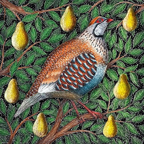 Charity Christmas Cards - Pack of 8 by Catherine Rowe - Partridge in a Pear Tree
