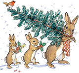 Charity Christmas Cards - Box of 20 - Bunnies In The Snow