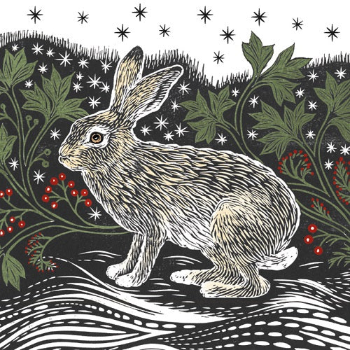 Christmas Cards - Pack of 8 by Valerie Greely - Starlight Hare