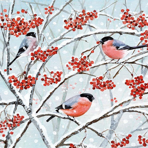 Christmas Cards - Pack of 5 by Lucy Grossmith - Bullfinches and Berries