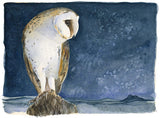 JACKIE MORRIS - LS3001 - Lost Spells - Signed Limited Edition Print - Barn Owl