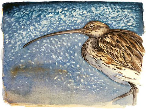JACKIE MORRIS - LS3002 - Lost Spells - Signed Limited Edition Print - Curlew