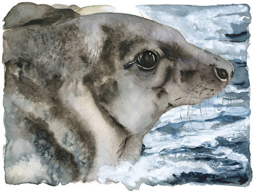 JACKIE MORRIS - LS 3005 - Lost Spells - Signed Limited Edition Print - Grey Seal