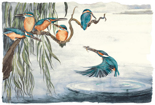 JACKIE MORRIS - JM8123 - Lost Words - Signed Limited Edition Print - Kingfishers (Low Stock)
