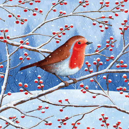 Christmas Cards - Pack of 8 by James Newman Grab - Robin & Berries