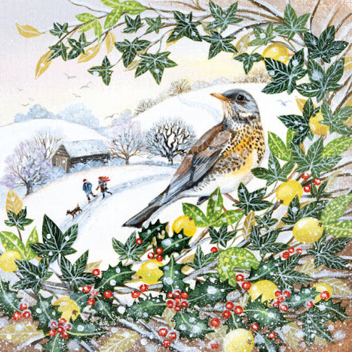 Christmas Cards - Pack of 5 by Lucy Grossmith - Fieldfare and Barn in Snow