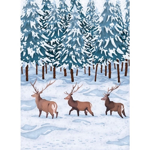 Christmas Cards - Pack of 8 by Catherine Marion - Stags in the Snow